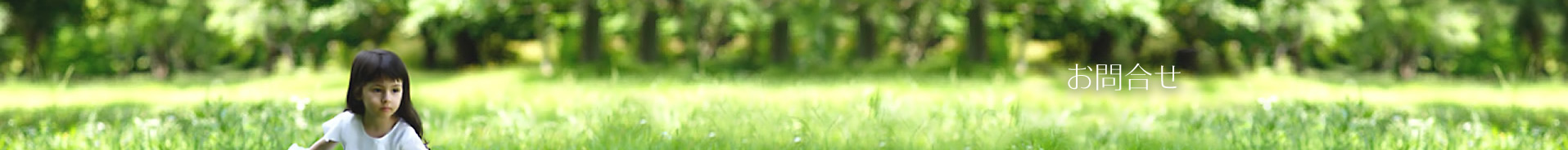 お問い合せ